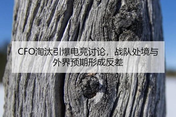 tao-tai-yin-bao-dian-jing-tao-lun-zhan-dui-chu-jing-yu-wai-jie-yu-qi-xing-cheng-fan-cha-2-825.jpg